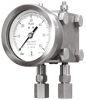 Diaphragm Differential Pressure Gauges